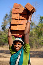 Female labourer carrying bricks on her head, Madhya Pradesh, India, 2006