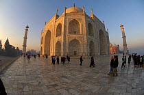 Fisheye view of tourists gathered at Taj Mahal at dawn, Uttar Pradesh, India 2005