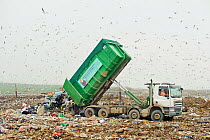 Truck dumping rubbish at landfill site, Pitsea, Essex, England, UK, November 2011