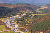 View looking north along the upper sections of the River Feshie, Glenfeshie, Cairngorms NP, Scotland, September 2011. 2020VISION Exhibition. 2020VISION Book Plate.