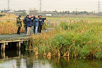 Birdwatchers on an organised birdwatching event led by RSPB PR Officer Howard Vaughan, Rainham Marshes RSPB Reserve, RSPB Greater Thames Futurescapes Project, Rainham, Essex, UK, November 2011