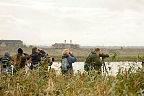 Birdwatchers looking at birds on an organised birdwatching event led by RSPB PR Officer Howard Vaughan, Rainham Marshes RSPB Reserve, RSPB Greater Thames Futurescapes Project, Rainham, Essex, UK, Nove...