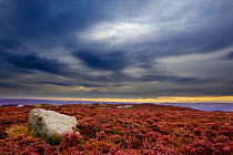 Scenic view of Burbage Moor with stormy sky, Peak District NP, September, UK