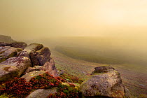 View from Higger Tor at dawn through mist, Peak District NP, UK, September 2011