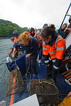 Two Sea Life Surveys guides recovering crab pots on board Sula Beag, a dedicated wildlife watching boat, Sound of Mull, Scotland, UK, July 2011