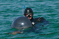 Underwater photographer Alex Mustard in the water with camera and dome port, at the Cairns of Coll, Inner Hebrides, Scotland, UK, July 2011