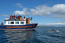 Passengers on observation deck of Sea Life Surveys vessel Sula Beag watching a Bottlenose dolphin (Tursiops truncatus) in the Sound of Mull, Inner Hebrides, Scotland, UK, July 2011