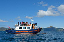 Passengers on observation deck of Sea Life Surveys vessel Sula Beag watching a Bottlenose dolphin (Tursiops truncatus) bow riding in the Sound of Mull, Inner Hebrides, Scotland, UK, July 2011