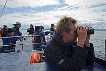 Sea Life Surveys guide looking for wildlife through binoculars on board Sula Beag, a dedicated wildlife watching boat, Inner Hebrides, Scotland, UK, July 2011