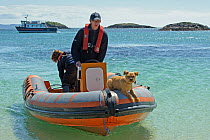 Two Sea Life Surveys wildlife guides and border terrier dog in an inflatable boat, at the Cairns of Coll, Inner Hebrides, Scotland, UK, July 2011