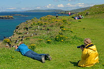 Tourists watching and taking photographs of Atlantic puffins (Fratercula arctica) at their breeding colony on Lunga, Inner Hebrides, Scotland, UK, July 2011. 2020VISION Book Plate.