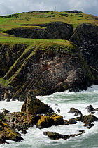 Cliffs showing layers of strata and geological folding, Pettico Wick, St Abbs (St Abbs and Eyemouth Voluntary Marine Reserve), Berwickshire, Scotland, UK, August 2011