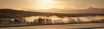 Panoramic view of mist over River Spey and Strathspey in winter, Cairngorms NP, Scotland, UK, December 2010