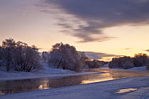 Partially frozen River Spey with frosted trees at dusk in winter, Cairngorms NP, Scotland, UK, December 2012