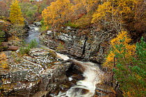 River Tromie running through autumnal woodland, Glenfeshie, Cairngorms NP, Scotland, UK, October 2010
