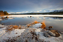 Loch Morlich and Cairngorm mountains in winter, Cairngorms NP, Scotland, UK, December 2010