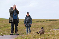 Birdwatchers watching and photographing a Great skua (Stercorarius skua), Shetland Isles, Scotland, UK, July 2011