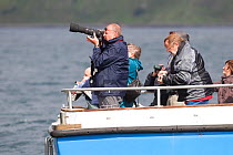 People watching and photographing White-tailed sea sea eagles near Skye, Inner Hebrides, Scotland, UK, June 2011