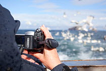Tourist filming mixed flock of seabirds on boat trip to Bass Rock, Firth of Forth, North Berwick, Scotland, UK, July 2010