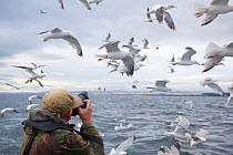Photographer on boat trip to Bass Rock, photographing a mixed flock of seabirds, Firth of Forth, North Berwick, Scotland, UK, July 2010