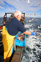 Fisherman throwing out fish scraps to attract seabirds for tourists and photographers on boat trip to Bass Rock, North Berwick, Scotland, UK, July 2010