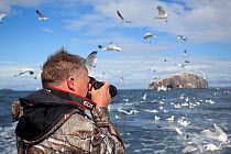 Photographer taking pictures of a mixed flock of seabirds on boat trip to Bass Rock, Firth of Forth, North Berwick, Scotland, UK, July 2010. 2020VISION Book Plate.