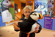 Boy holding toy Puffin  on sale at souvenir shop inside the Scottish Seabird Centre in North Berwick showing economic benefits of presence of Bass Rock, Firth of Forth, Scotland, UK, August 2011
