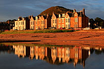 View over coastal town of North Berwick at dawn, Scotland, UK, August