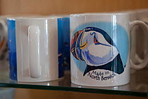 Puffin merchandise on sale at Scottish Seabird Centre, North Berwick,  showing economic benefits of presence of Bass Rock, Firth of Forth, Scotland, UK, August 2011