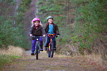 Two children riding bicycles along a forest path, Inshriach Forest, Cairngorms NP, Scotland, UK, November 2011 Model released. Did you know? The word Bicycle comes from the French 'Bicyclette'; before...