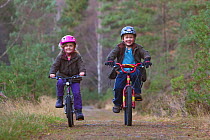 Two children riding bicycles along a forest path, Inshriach Forest, Cairngorms NP, Scotland, UK, November 2011 Model released. 2020VISION Book Plate. Did you know? The Cairngorms is the UK's largest n...
