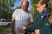 Hazel dormouse (Muscardinus avellanarius), Kent, UK. Members of Kent Mammal Group conduct monthly dormouse survey. Hazel Ryan talking to woodmen in chestnut coppice about dormice, October 2011