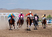 Indian jockeys mounted on thoroughbred horses rush out to win the All Indian Race, at the annual Indian Crow Fair, Crow Agency, near Billings, Montana, USA, August 2011