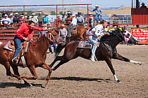 The first two Indian female jockeys mounted on thoroughbred horses to pass the finishing line at the All Indian Race, at the annual Indian Crow Fair, Crow Agency, near Billings, Montana, USA, August 2...