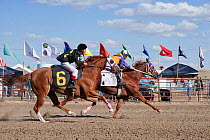 The first two Indian jockeys mounted on thoroughbred horses to pass the finishing line at the All Indian Race, at the annual Indian Crow Fair, Crow Agency, near Billings, Montana, USA, August 2011