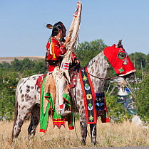 A traditionally dressed Crow Indian man rides an appaloosa horse during the parade, at the annual Indian Crow Fair, at Crow Agency, near Billings, Montana, USA, August 2011
