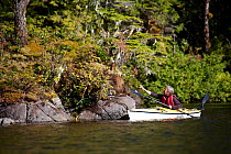 Woman paddling kayak along the coast of the Great Bear Rainforest, British Columbia, Canada, September 2010