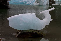 Whale shaped ice on rock, Glacier Bay National Park, Alaska, USA, May 2011