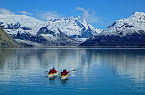 Four people kayaking in Glacier Bay National Park, Alaska, USA, May 2011