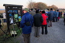Visitors gathered at Ham Wall RSPB reserve at sunset to watch Common starlings (Sturnus vulgaris) coming to roost in reed beds, listening to a warden describing the behaviour, Somerset Levels, UK, Jan...