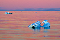 Icebergs against dusky sunset sky. Svalbard, Norway, August 2011.
