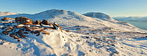 Panoramic of Ben More Coigach in winter, Coigach, Wester Ross, Scotland, UK, December 2010