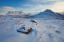 Cul Mor and Cul Beag in winter, Coigach, Wester Ross, Scotland UK, December 2010