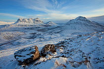 View of Cul Mor and Cul Beag in winter, with snow-covered rocks in foreground, Coigach, Wester Ross, Scotland, UK, December 2010