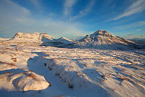 View of Cul Mor and Cul Beag in winter, Coigach, Wester Ross, Scotland, UK, December 2010. 2020VISION Book Plate.