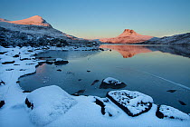Sgurr Tuath and Stac Pollaidh at dawn, with partly frozen Loch Lurgainn in foreground, Coigach, Wester Ross, Scotland, UK, December 2010