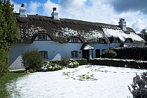 Snow on thatched cottages, Swan Green, Lyndhurst, New Forest National Park, Hampshire, UK, April 2008