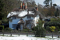 Snow on thatched Cottage, Swan Green, Lyndhurst, New Forest National Park, Hampshire, UK, April 2008