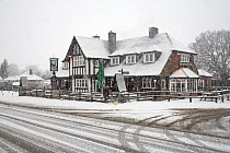 The Fighting Cocks public house during heavy snow shower, Godshill, New Forest National Park, Hampshire, UK, February 2009