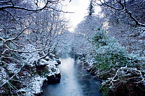 River Glaslyn in winter, Beddgelert, Snowdonia NP, Gwynedd, Wales, UK, January